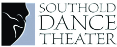 sdt logo
